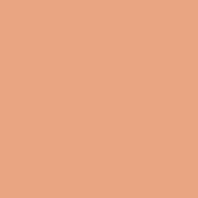 Succulent Peach Paint Color